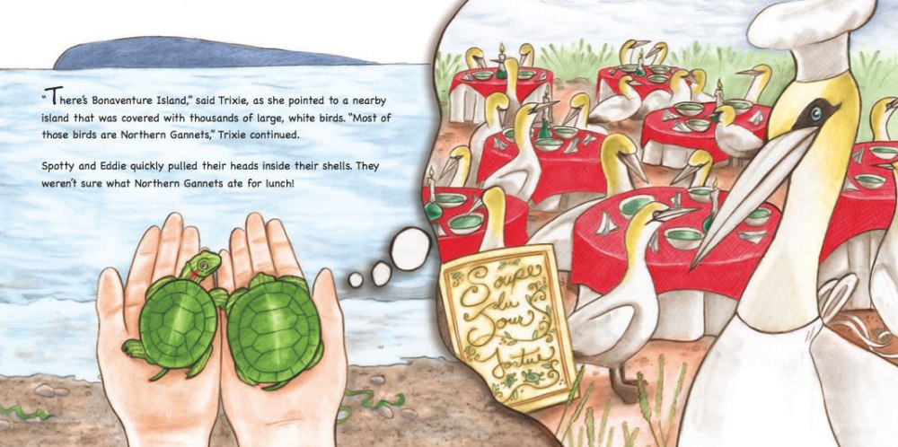 Heather Castles pencil digital colour painting children's book illustration turtles