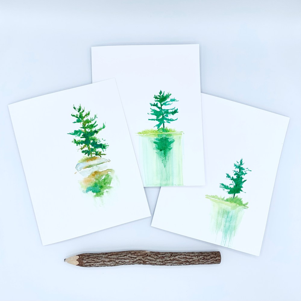 Canadian Ontario Algonquin paintings landscape flora fauna watercolours Heather Castles