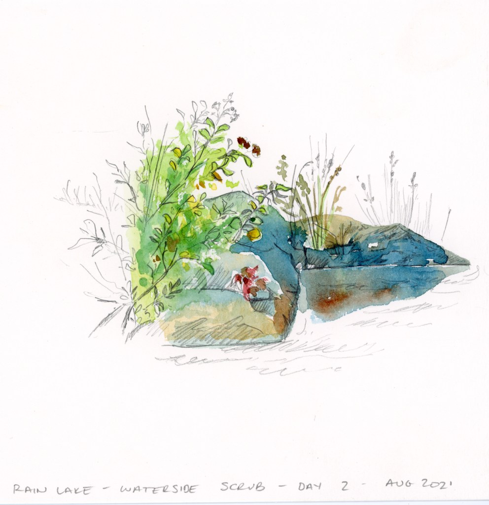 algonquin rain lake watercolor sketch heather castles en plein air