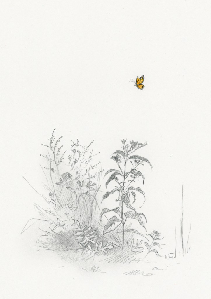 enpleinair sketch Ontario canada