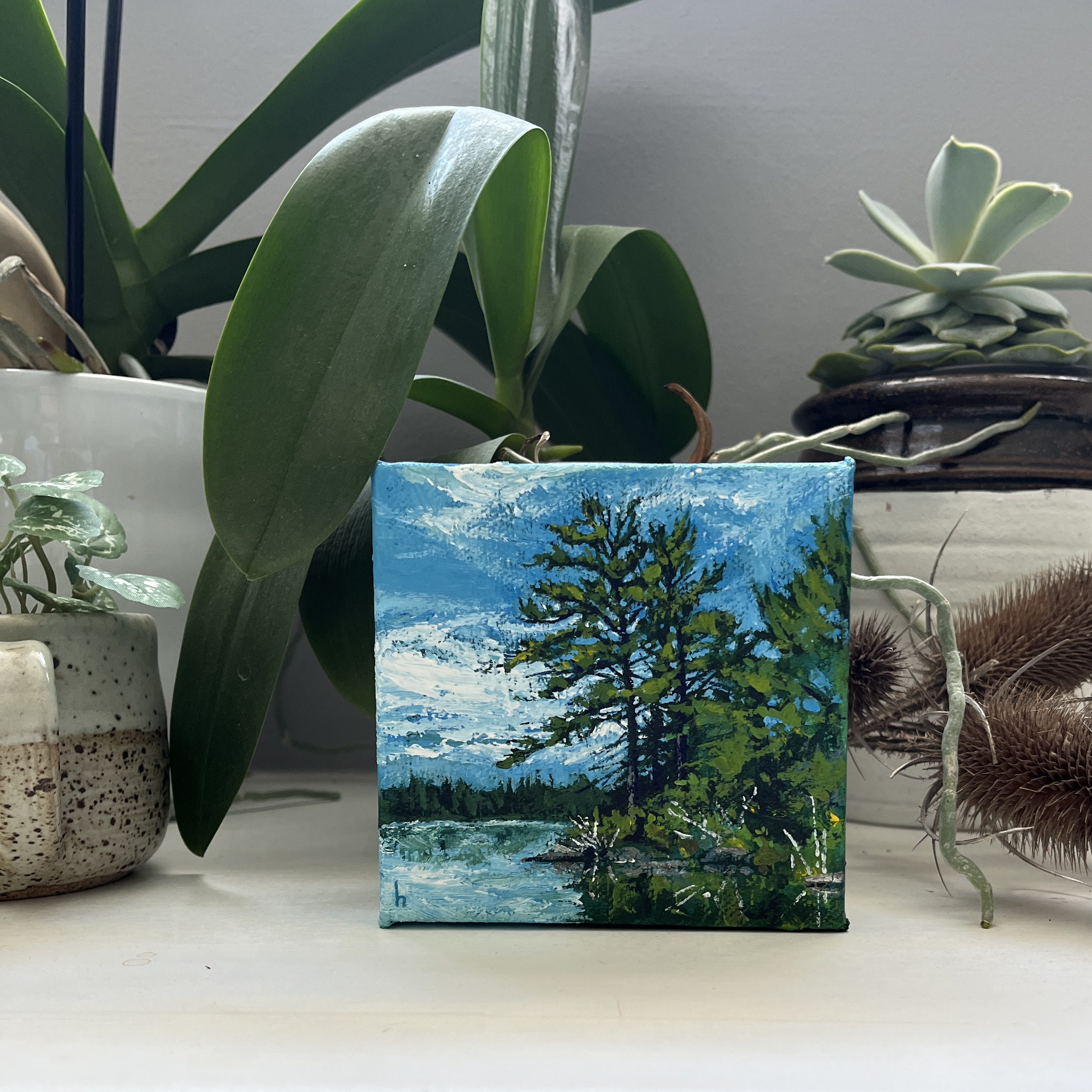 Petite expressionist acrylic paintings by Heather Castles inspired by Algonquin Park, Ontario.